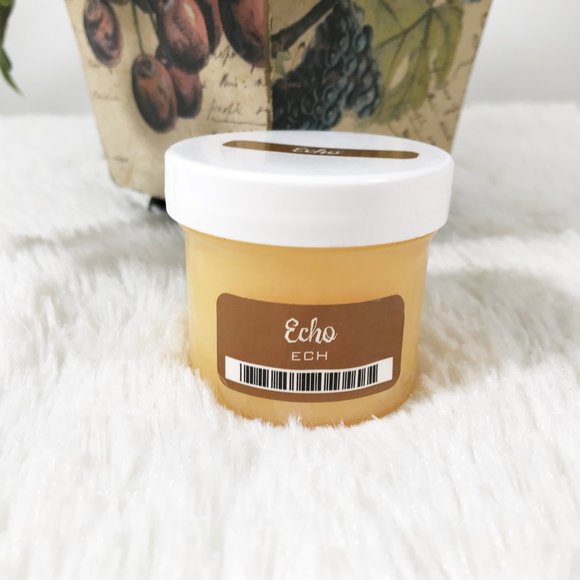 3/$13 Scentsy Echo